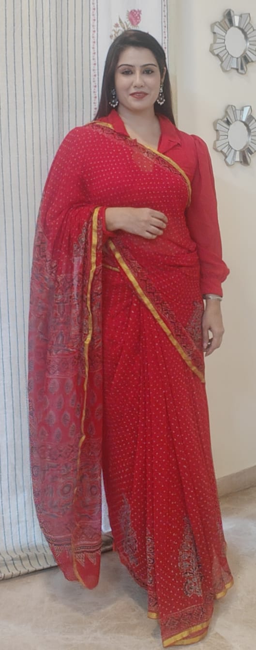 Chiffon Grace – Ajrakh Print with Chanderi Border II
